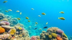 a-ciencia-dos-corais-ecossistemas-subaquaticos-em-perigo