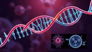 a-estrutura-e-funcao-do-dna-mitocondrial-explicado