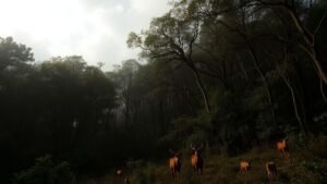 quais-sao-os-animais-mais-afetados-pelas-queimadas
