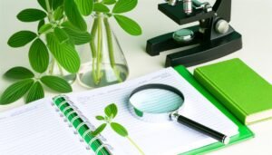 Como Identificar Plantas Medicinais: Um Guia Prático Para Estudantes de Botânica